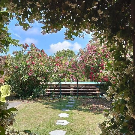 فيلا Cosy En Provence Maillane المظهر الخارجي الصورة