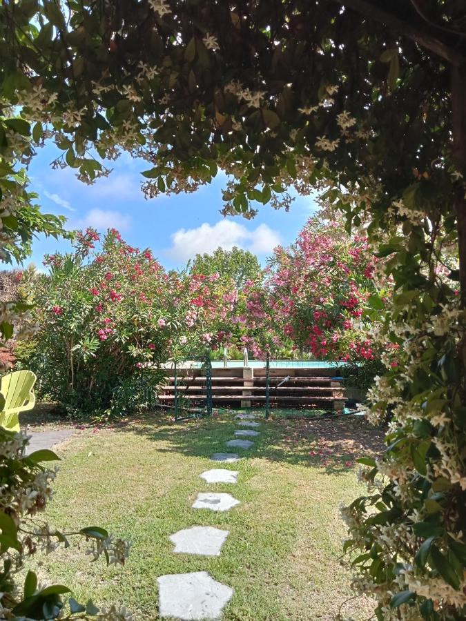 فيلا Cosy En Provence Maillane المظهر الخارجي الصورة